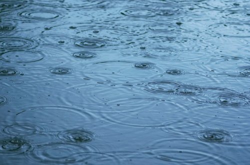 Sabah yağış yağacaq - PROQNOZ