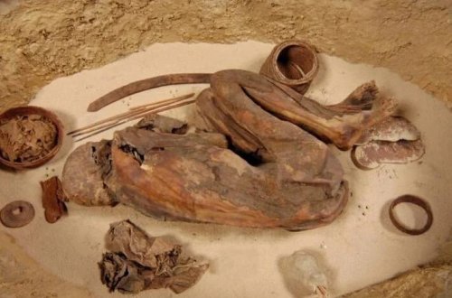 100 ildən artıqdır nümayiş etdirilən mumiyanın sirri açılıb