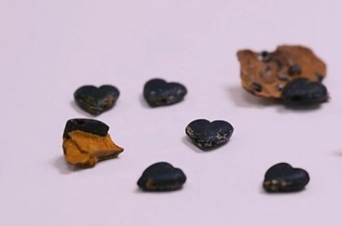 Titanikin unudulmuş xəzinəsi tapıldı: Siam şüşə ürəyi