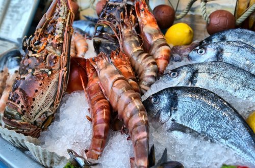 Krevet və taraklarda ölümcül və sağalmaz bakterial infeksiyalar aşkarlanıb