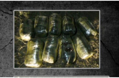 Cəlilabadda keçmiş məhkumdan 13 kiloqram narkotik götürülüb