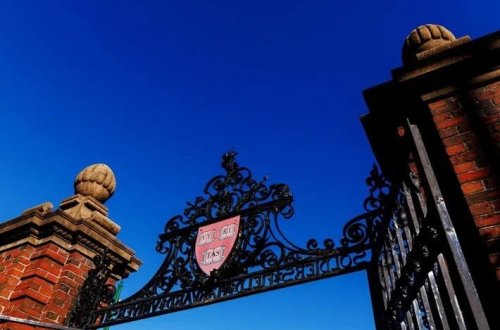 Trampın Harvardda əcnəbi tələbələrə qadağası dayandırılıb