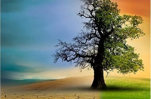 Mütəxəssislər kritik iqlim xəbərdarlığı edirlər