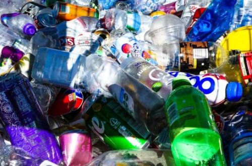 Bakteriyaların köməyi ilə plastikdən ağrıkəsici hazırlandı