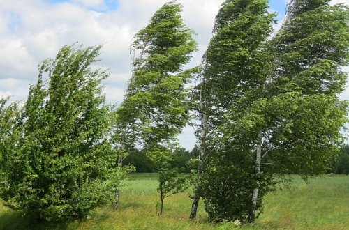 Növbəti iki gündə Bakıda güclü külək əsəcək - XƏBƏRDARLIQ