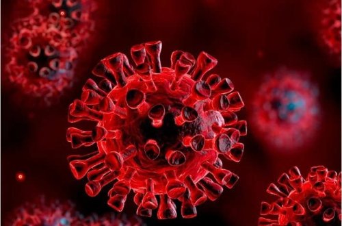 Çində iki yeni virus aşkar edilib: İnsanlara keçə bilər, peyvəndi yoxdur