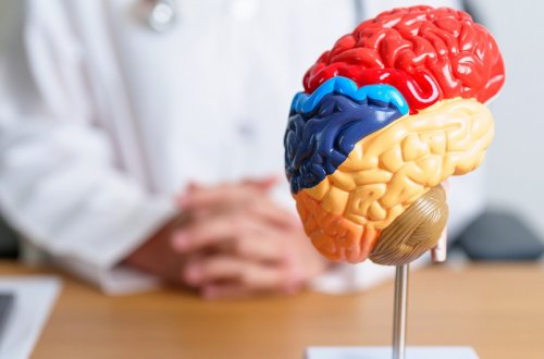 İnsan beyninin əqli yorğunluğa necə reaksiya verdiyi bəlli olub