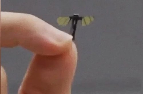 Çin ordusu milçək böyüklükdə pilotsuz təyyarələr istehsal edir