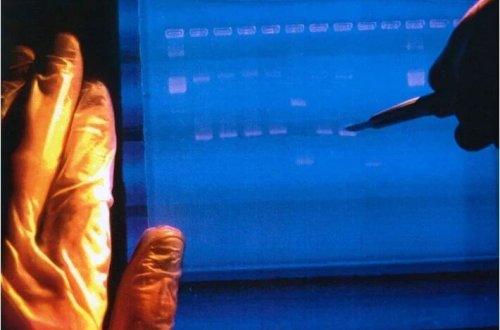 DNT-lər yenidən kodlaşdırılacaq