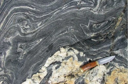 Alimlər həyatın necə başladığına dair yeni ipucu tapıblar