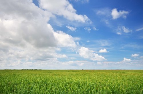 Sabah hava yağmursuz keçəcək