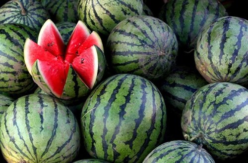 Azərbaycanda 14 nəfər qarpızdan ZƏHƏRLƏNİB