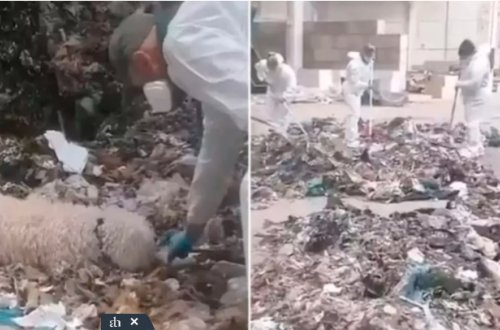 Yeni doğulan körpəsini parçalayaraq zibil qutusuna atan ana həbs edildi