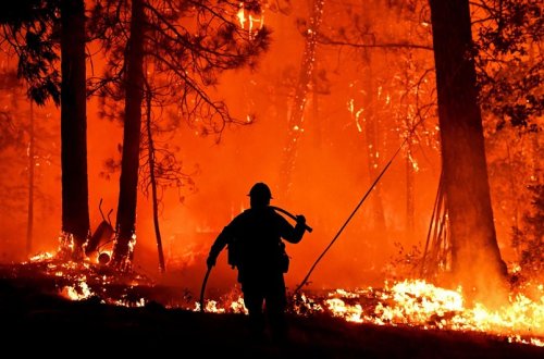 İstanbul ətrafında meşə yanğınlarını 700 canlı qüvvə və 7 təyyarə söndürür