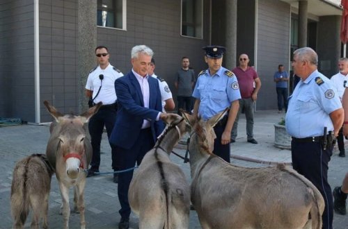 41 iclasda prezidentini seçə bilməyən parlamentə eşşək etirazı