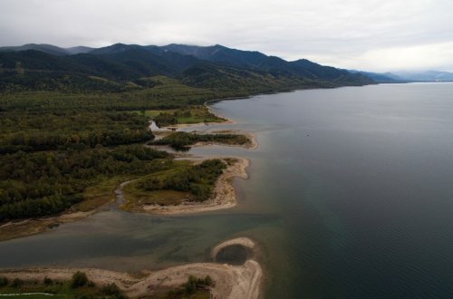 Rusiya hökuməti meşələrin bərpası üçün Baykal gölü yaxınlığında ağacların kəsilməsinə icazə verib