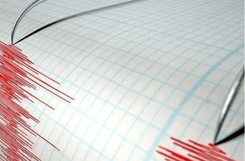 Yeni Zelandiyada 6,3 bal gücündə zəlzələ baş verib