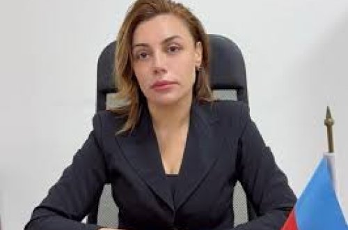 Çinarə Ağayeva: “Yeni qaydalar sahibkarların məsuliyyətini artıracaq”