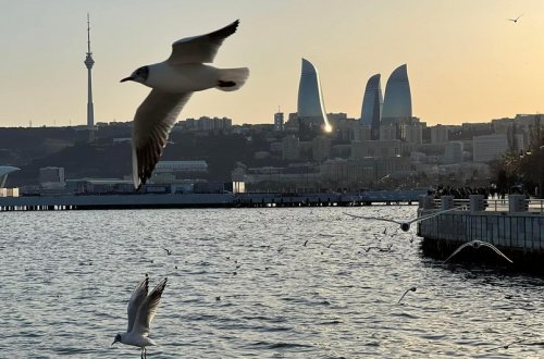 Dəniz kənarında ekoloji çirklənməyə yol verən şəxslər cərimələnib