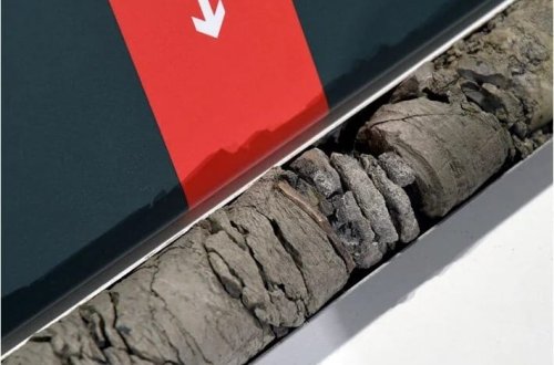 Muzeyin dayanacağının altından dinozavr qalığı tapıldı