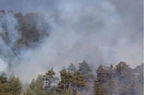 İtaliyanın Sardiniya adasında 20 fərqli yerdə meşə yanğınları başlayıb