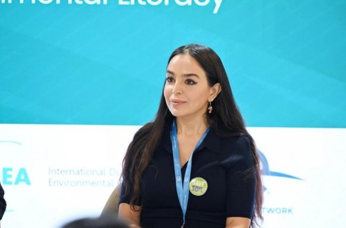 Leyla Əliyeva Türkmənistan Xalq Məsləhəti sədrinin qızı Oquldjaxan Atabayeva ilə görüşüb