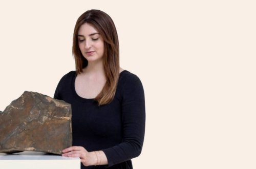 Marsın nəhəng parçası hərracda rekord qiymətə satılıb