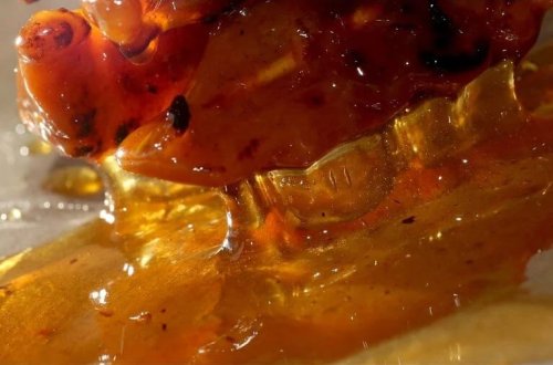 Bağırsaq xərçəngi gündən-günə artmaqdadır