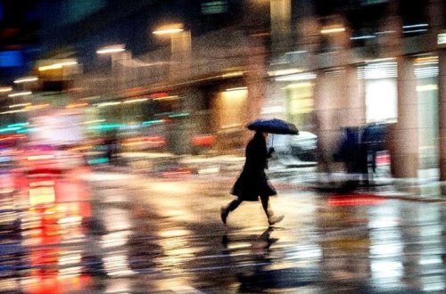 Almaniyada hər beş nəfərdən biri təkdir