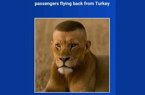 Aviasiya şirkəti saç əkilməsi ilə bağlı zarafat etdi