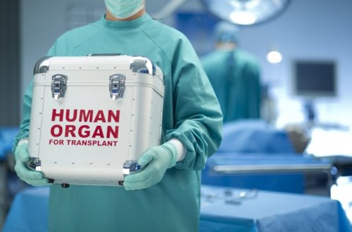 Bu ilin altı ayında icbari tibbi sığorta təminatı ilə 80 orqan transplantasiyası əməliyyatı icra olunub