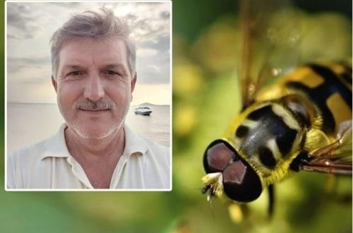 Türkiyədə arı dəhşəti: İki uşaq atası öldü, həyat yoldaşı infarkt keçirdi