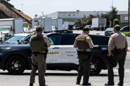 Qeyri-qanuni saxlanılan nəhəng kərtənkələ qaçıb: Polis hər yerdə axtarış aparır