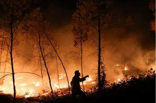Yunanıstan meşə yanğınları ilə mübarizə aparır