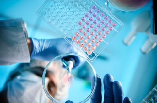 Alimlər bədən yaşını təyin etmək üçün sadə üsul tapıblar