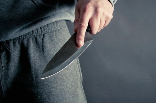 Goranboyda 15 yaşlı oğlan anasını və nənəsini qətlə yetirib