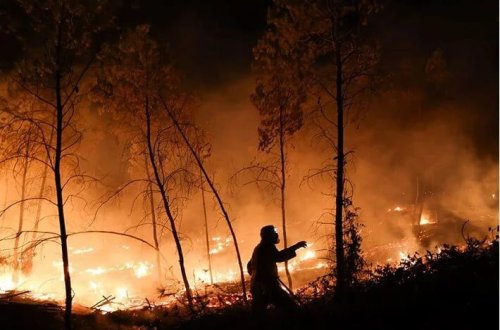 Peloponnes yarımadasında 12 min hektar meşə sahəsi külə dönüb