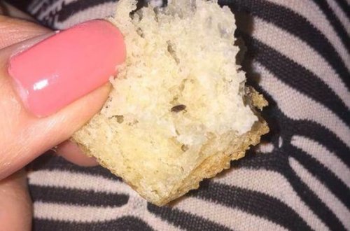 Mağazadan alınan çörəyin içindən böcək çıxdı - FOTOLAR