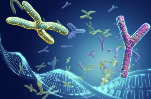 Yaponiyada Daun sindromunun qarşısını almaq üsulları öyrənilir