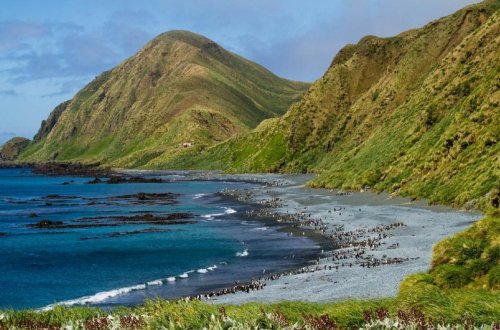 Makkuari adasında 6,2 maqnitudada zəlzələ qeydə alınıb