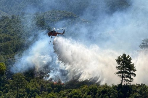 Türkiyədə meşə yanğınlarında üç könüllü ölüb