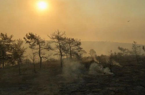 Kanada meşə yanğınları ABŞ havasını pozur