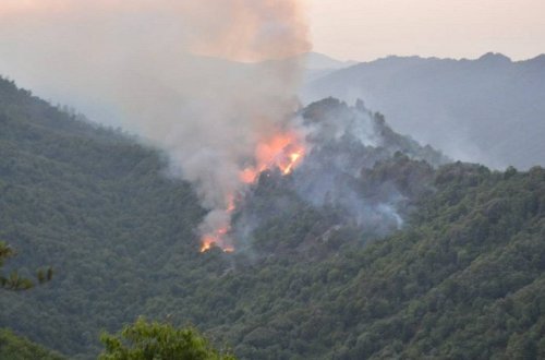 İstanbulda meşə yanğınları səbəbindən pirotexniki vasitələrin satışı və istifadəsi qadağan edilib