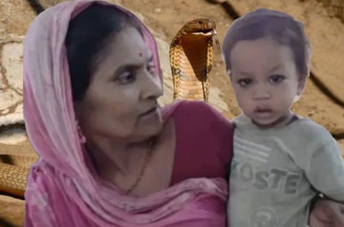 Hindistanda qeyri-adi olay: 2 yaşlı uşaq ilanı dişləyərək öldürdü