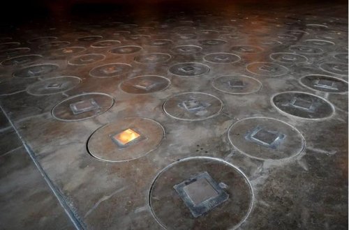 Nüvə bazasında arı yuvası tapıldı