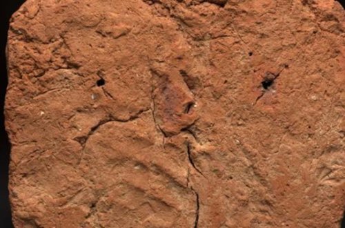 Qədim Misir məzarında 4000 illik əl izi aşkar edilib