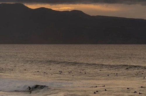 Alimlər okeanın ən dərin nöqtəsində həyat tapdılar