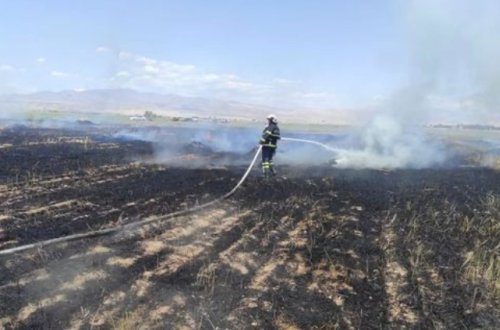 Qubada biçilmiş taxıl sahəsi YANDI