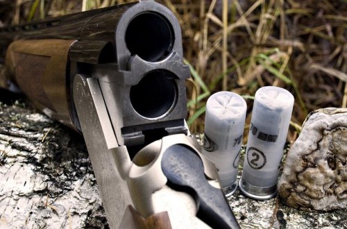 Ötən gün Azərbaycanda 9 silah 10 qumbara aşkarlanıb