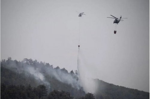 Bolqarıstanda meşə yanğını: Siqaret kötüyü 5000 hektar ərazini yandırıb 